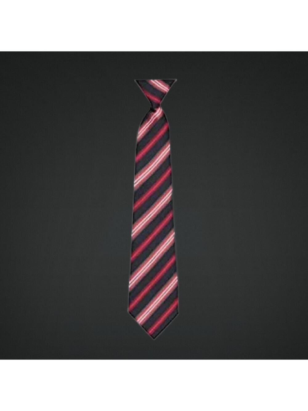 Boys 8/10 Zippered Pre-tied Neck Tie